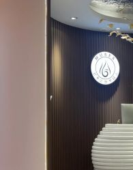 -MUSES专业脱毛比基尼サロン日式连锁