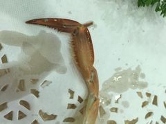 -琼菜王(南海店)
