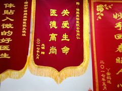 -瑞鹏宠物医院华南总院·夜诊·心脏科·骨科