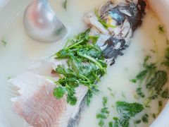 -竹乡人家大鱼头(南山竹海店)