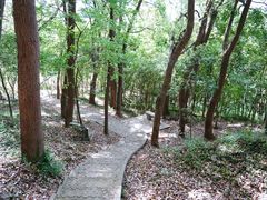 -上海佘山国家森林公园天马山园