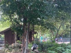 -苏州上方山国家森林公园