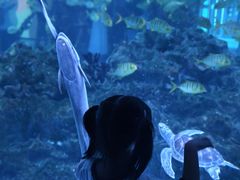 -海合安成都极地海洋公园