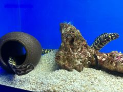 -青岛海底世界-水族馆