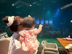-海棠湾洲际-涛·海底餐厅·美人鱼·自助餐·海底隧道