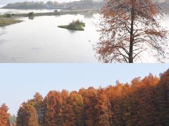 -青山湖景区