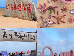 -日照灯塔风景区