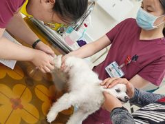 -美联众合动物医院·24h京西诊疗中心