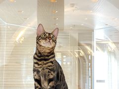 -Me Coffee下午茶艺术空间