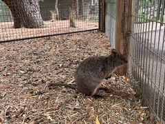 -费瑟代尔野生动物园
