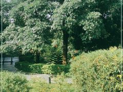 -森波拉火山温泉