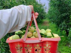 -君乐宝优致牧场