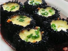 -食海部落