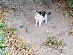 -美联众合24小时·皮肤科·外科·全科诊疗中心(华苑分院)