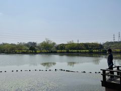 -八卦田遗址公园