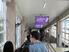 -鼓浪屿内厝澳码头(轮渡站)