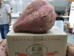 -沈阳国际会展中心管理有限公司