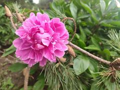 -长春公园(普阳街道)