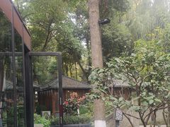-大妙火锅·非物质文化遗产(东湖公园店)