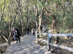 -紫金山山顶公园