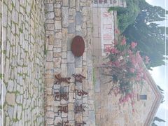 -无染寺