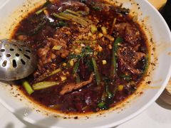 -大鸭梨烤鸭(左家庄店)