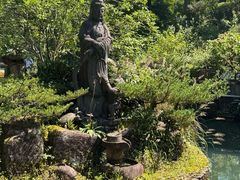 -玉苍山国家森林公园