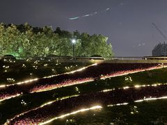 -上海科技馆(地铁站)