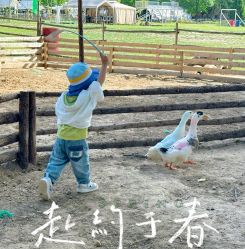 -上美四季动物农场