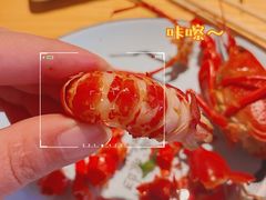 -蚝翅·海鲜粥·烧烤·宁夏滩羊季(玉米楼店)