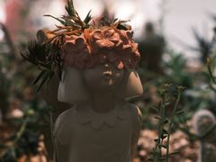 -春树下·树屋花房西餐厅(罍街AS1980店)