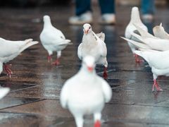 -华谊兄弟（长沙）电影小镇