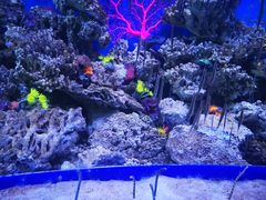 -成都浩海立方海洋公园