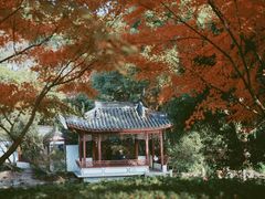 -汇龙潭