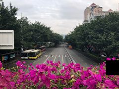 -老福洲(西洪路店)