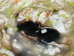 -丹盛象山海鲜(水清路店)