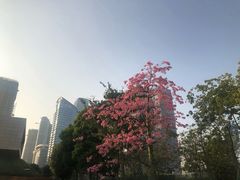 -前海深港基金小镇