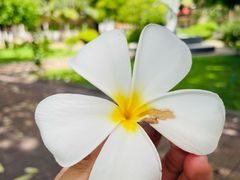 -吐斯廉屠杀博物馆