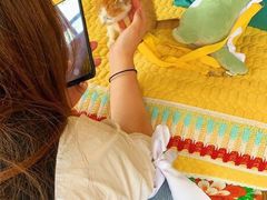 -四姑娘山阿巴郎·藏式花园餐厅