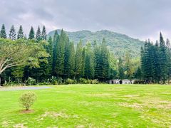 -深圳仙湖植物园