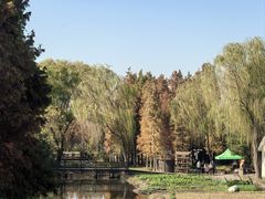 -溱湖国家湿地公园