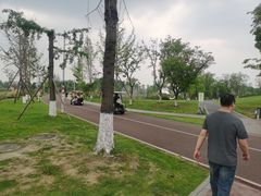 -白鹭湾湿地公园