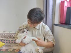 -楼上猫咖(罗湖店)