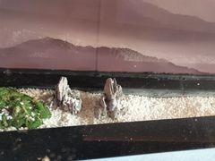-马家斑.鲜鱼火锅(松湖万科店)