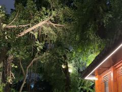 -大妙火锅·非物质文化遗产(东湖公园店)