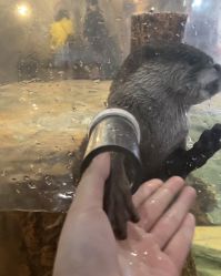 -Zoolung Zoolung动物主题公园(海信广场店)