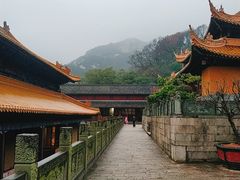 -普陀山风景名胜区-法雨禅寺