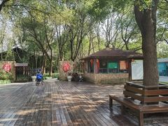 -昆山城市生态森林公园