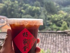 -杨家堂村