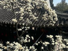 -何园